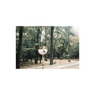 A street view in a forest reflected in a round mirror, captured with RetoColor Glow 400 film’s warm, soft vintage aesthetic.