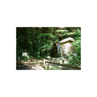 RetoColor Mosaic 100 film shot of a wooden cabin in a lush, sunlit forest with vibrant green tones and sharp detail.