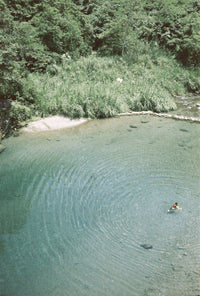 Person swimming in a clear lake surrounded by trees