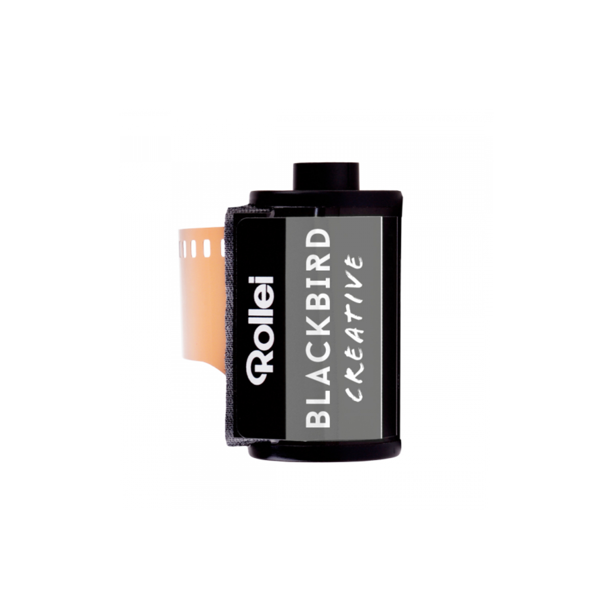 A Rollei Blackbird 100 ISO black and white film canister with the brand and product name visible.