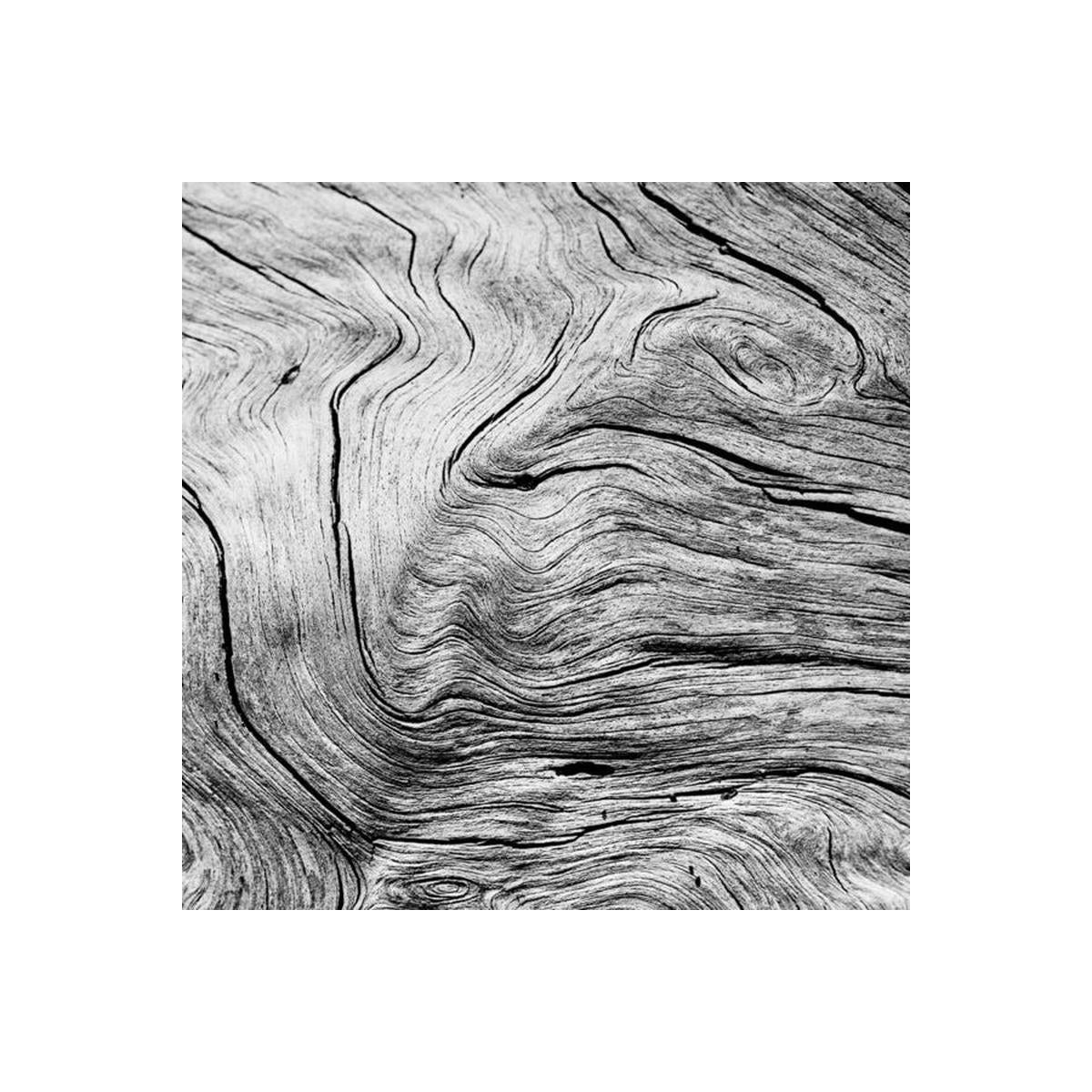 Close-up of textured wood surface with concentric circles and cracks.