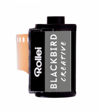 A Rollei Blackbird 100 ISO black and white film canister with the brand and product name visible.