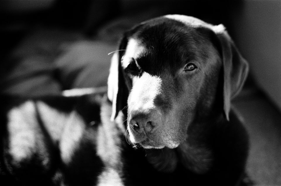 Rollei Superpan 200 Black & White Film (35mm x 36exp)