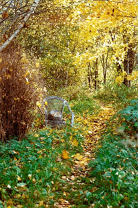 SantaColor 100 Color Negative Film (35mm Roll Film, 36 Exposures)