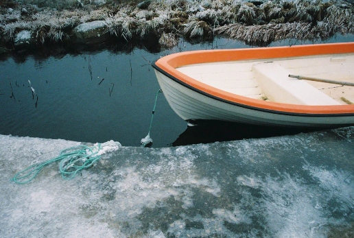 SantaColor 800 Color Negative Film (35mm Roll Film, 36 Exposures)