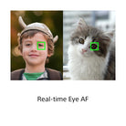 Sony RX100 VII demonstrating real-time Eye-AF tracking on a child in a viking helmet and a fluffy cat.
