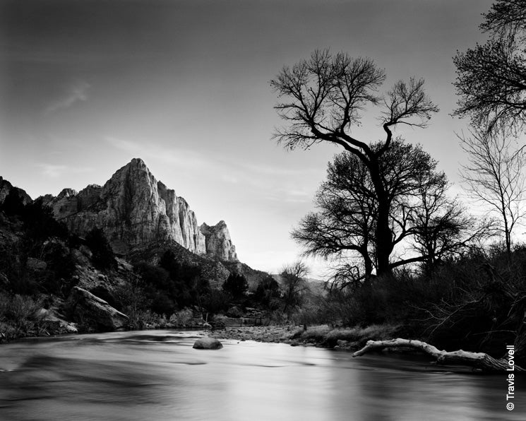 KODAK Professional T-MAX 100 Film /TMX / 10sh  4x5 inch