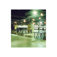 Indoor ping pong hall shot on Vandal Tungsten 400 film with distinct light halation and cool, stylized color tones.