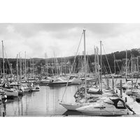 Black and white photograph of a marina filled with sailboats and yachts docked at piers, with masts creating a dense forest effect against a cloudy sky and distant hills.