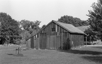 AgfaPhoto APX 400 Professional BW Film (35mm Roll Film, 36 Exposures)
