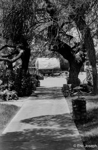 Black and white photograph of a tree-lined path leading to a covered wagon in the distance, with stone walls and large trees framing the scene.