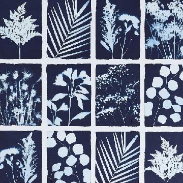 Cyanotype Cotton Squares (8 x 8", 10 Pack, White)