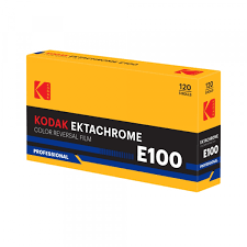 Ektachrome E100 120 (Single Roll)