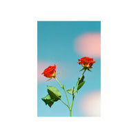 A vertical art print featuring two red roses on a green stem against a bright blue sky with soft pink clouds, displayed on a clean white background.