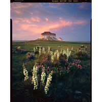 A Kodak Ektar 100 1981 film photograph print of a desert landscape at sunset, featuring a prominent mesa under a pink and purple sky with white flowers in the foreground.