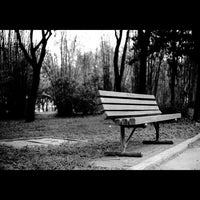 A wooden park bench situated on a paved path in a wooded outdoor setting, shown in black and white.