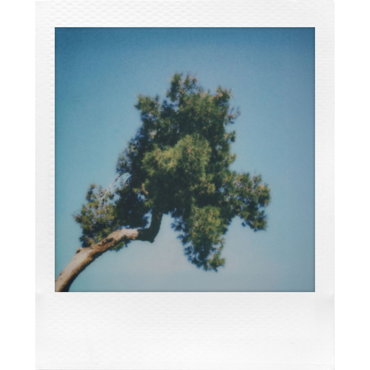 Polaroid Go Generation 3 Instant Film Camera (White)