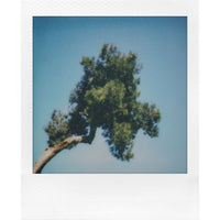 Polaroid Go Generation 3 Instant Film Camera (White)