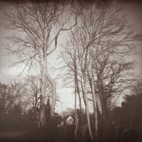 Sepia-toned photograph of tall leafless trees in winter, with a small house visible through the undergrowth in the distance.