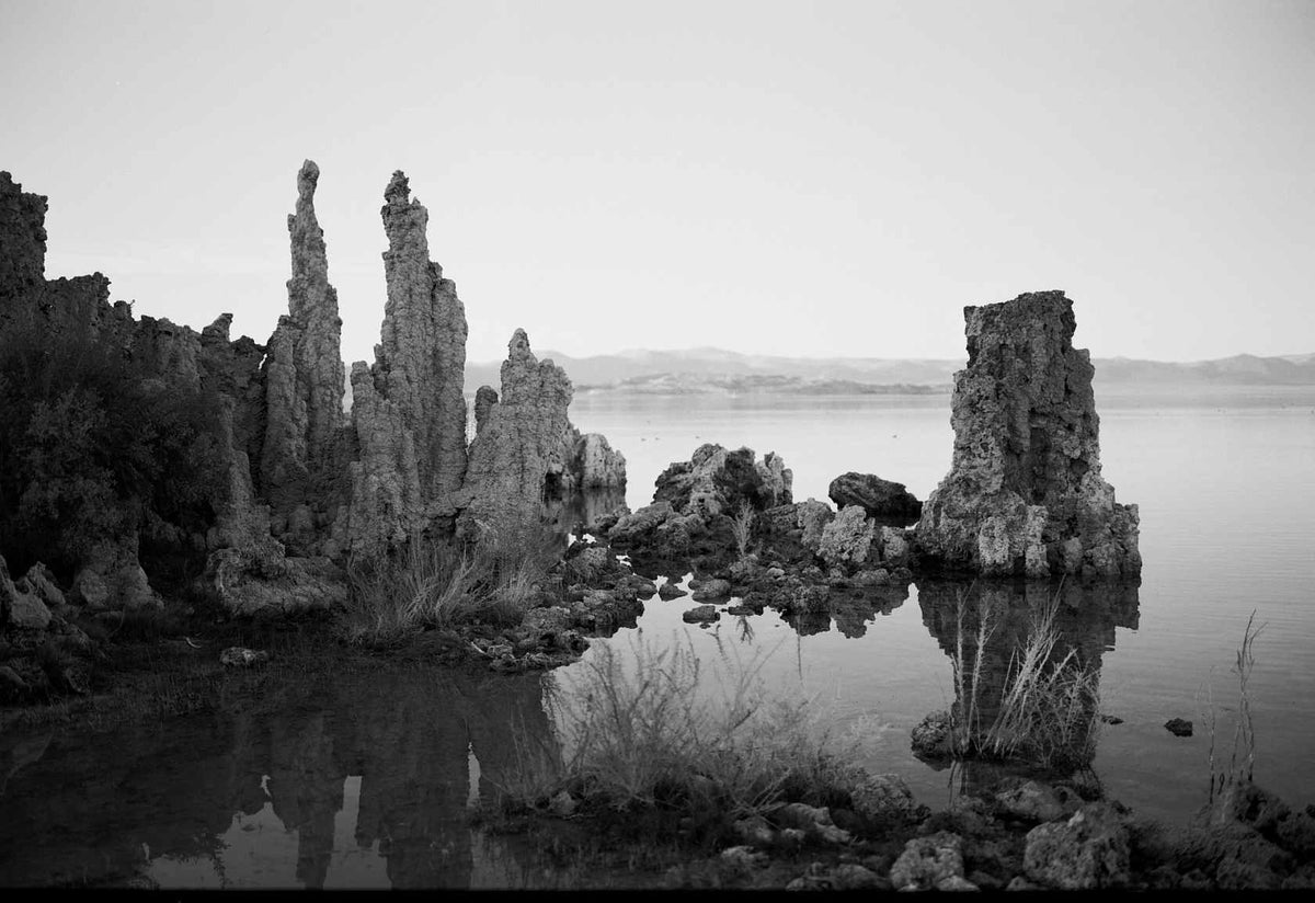 Kodak Ektapan 100 BW Film (120 Roll Film, Single Roll)