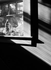 Kodak Ektapan 100 BW Film (120 Roll Film, Single Roll)