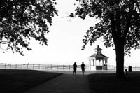 Kodak Ektapan 400 BW Film (120 Roll Film, Single Roll)