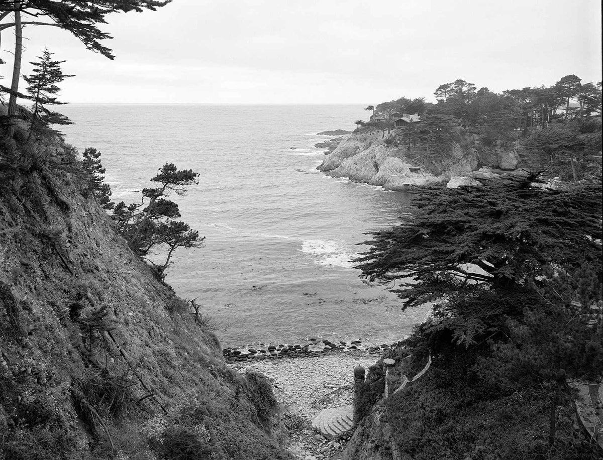 Kodak Ektapan 400 BW Film (120 Roll Film, Single Roll)