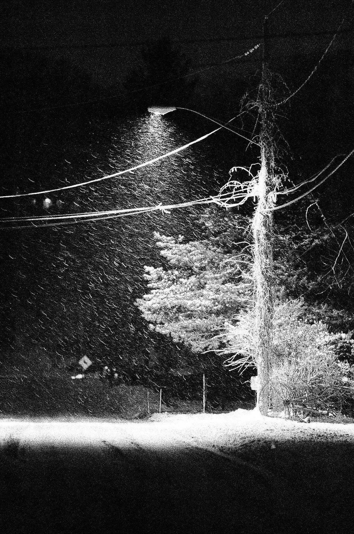 Kodak Ektapan 3200 BW Film (35mm Roll Film, 36 Exposures)