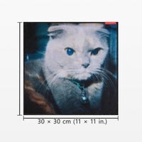 A square wall art print featuring a close-up photograph of a white cat with blue eyes, shown with dimension lines and text indicating a size of 30 x 30 cm (11 x 11 in.) on a light gray background.