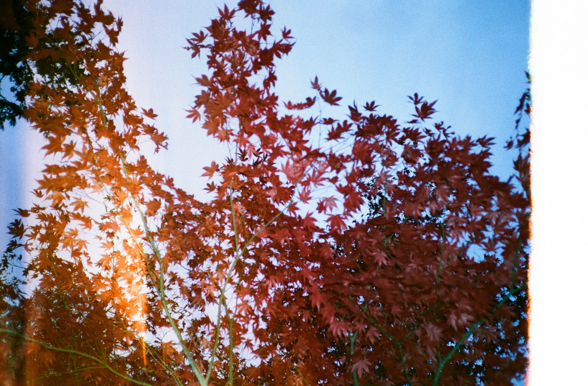 Lomography LomoColor ’92 35mm ISO 400