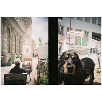 A split-screen photograph showing a black and tan dog looking through a window on the right, and an outdoor street scene with a seated person on the left, separated by a dark vertical frame.