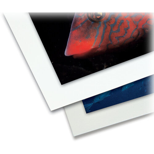 Print File Conservation Board (2-ply) (11x14") 25 count