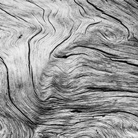 Close-up of textured wood surface with concentric circles and cracks.