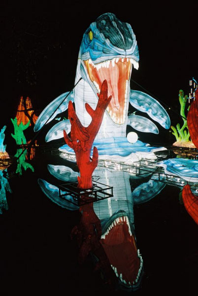 A large illuminated shark lantern with an open mouth and glowing blue, white, and red details, set against a dark night background with its reflection visible in water below.