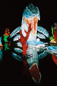 A large illuminated shark lantern with an open mouth and glowing blue, white, and red details, set against a dark night background with its reflection visible in water below.