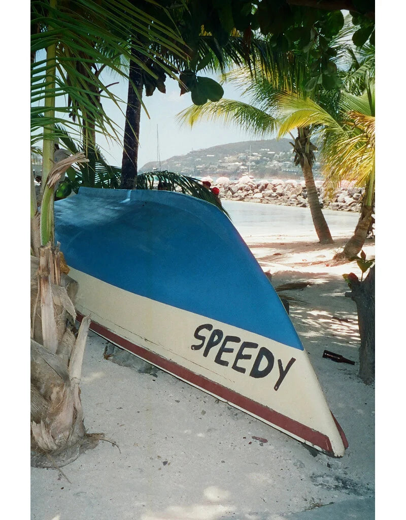 Vandal Color 400T 35mm